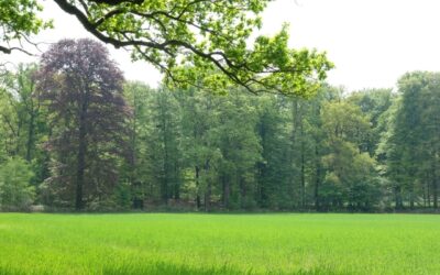 75 jaar bevrijding – hoe mijn moeder de oorlog en haar vader overleefde